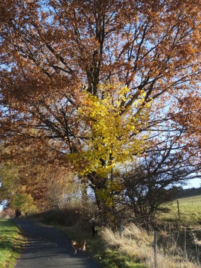 Im Erzgebirge Wandern, Fahrrad Fahren Oder Entspannen Ehrenfriedersdorf Εξωτερικό φωτογραφία